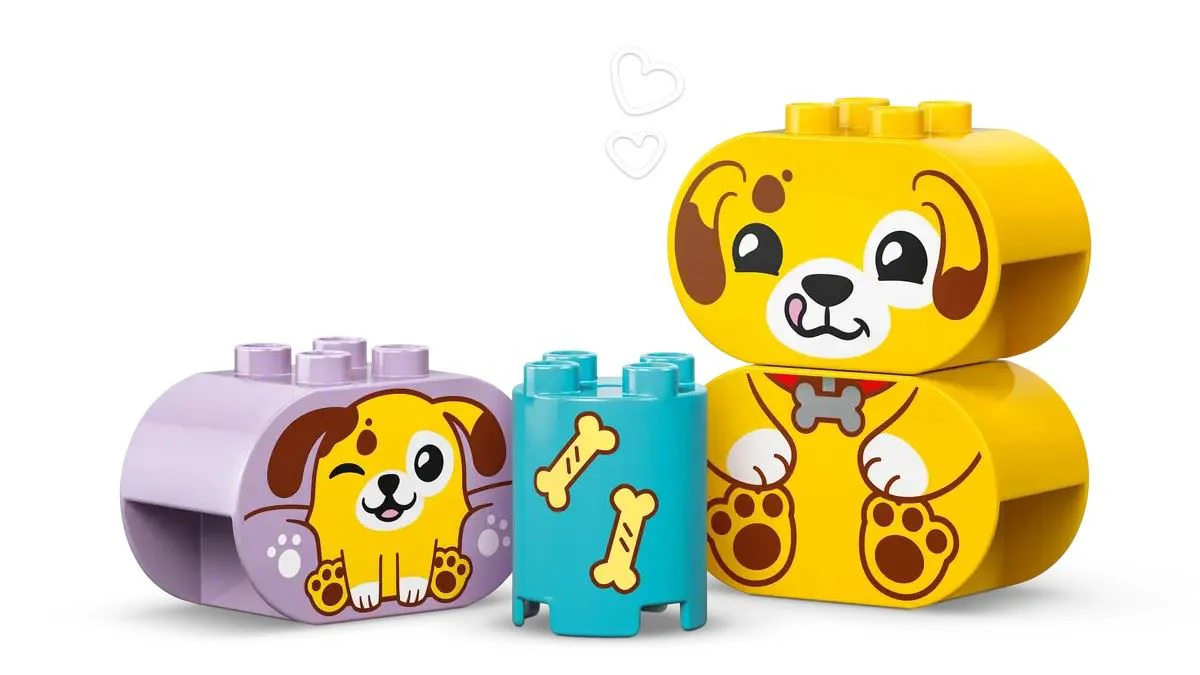 LEGO Duplo - Sorter de forme: Casuta Catelusilor, 17 el. foto