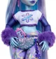 Игровой набор Monster High Эбби Боминейбл с аксессуарами foto
