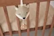 Музыкальная игрушка для кроватки Jollein Fox foto