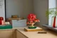 LEGO Botanicals - Bonsai Artar Rosu Japonez, 474 el. foto