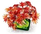 LEGO Botanicals - Bonsai Artar Rosu Japonez, 474 el. foto