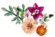 LEGO Botanicals - Букет Pretty Pink, 749 эл. foto