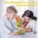 3D Пазл CubicFun National Geographic: Микроскоп foto