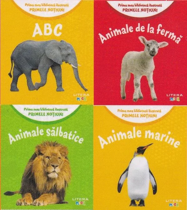 Cutie prima mea biblioteca ilustrata. Primele notiuni foto