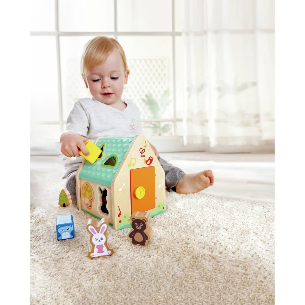Игровой набор Hape – Домик с формами foto