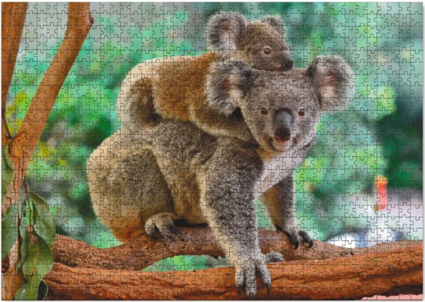 Пазл Dodo Baby Koala и мама, серия Мир животных, состоит из 1000 эл. foto