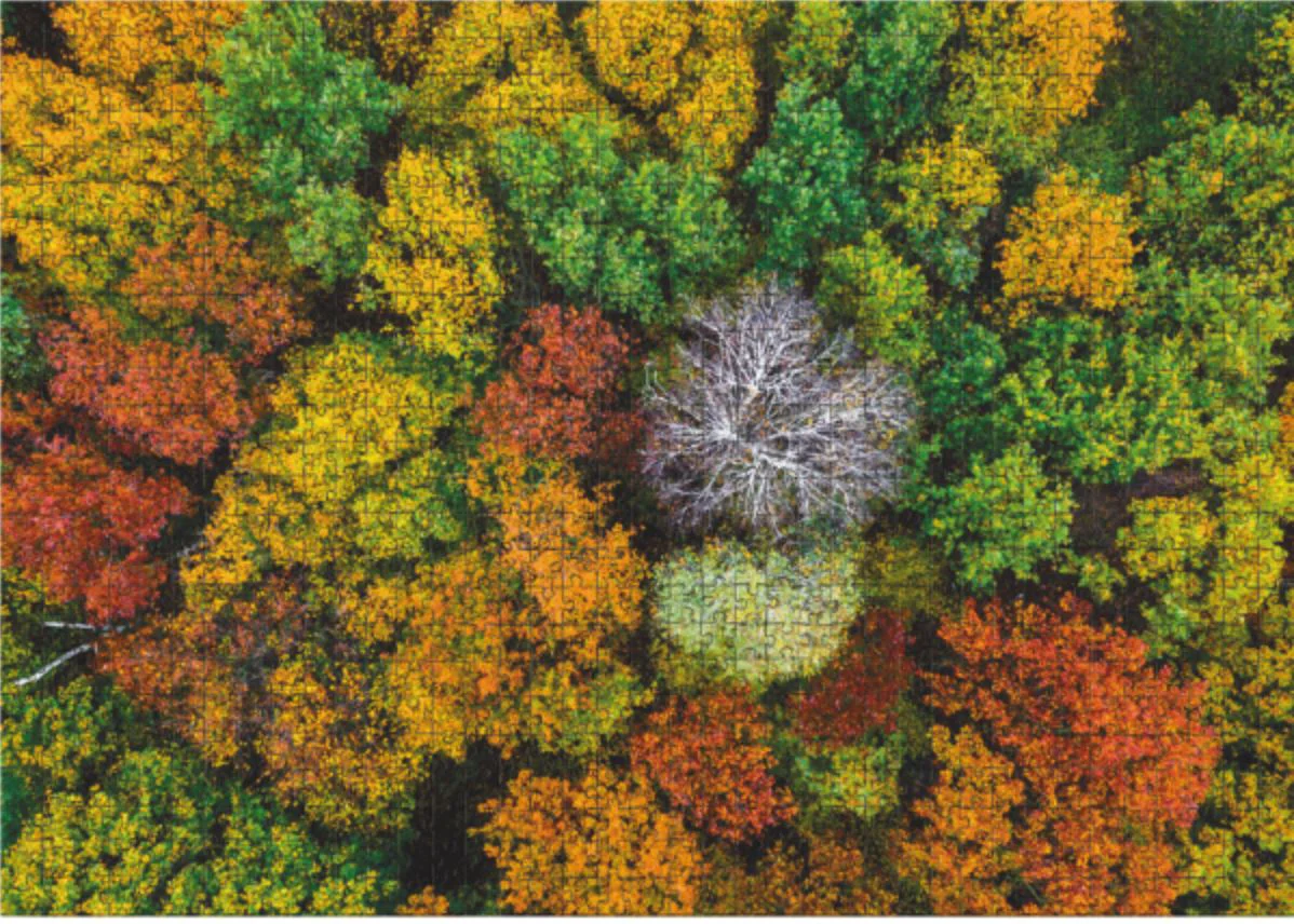 Пазл Dodo Село Дземброня Украина, Пейзажи, 1000 эл. foto