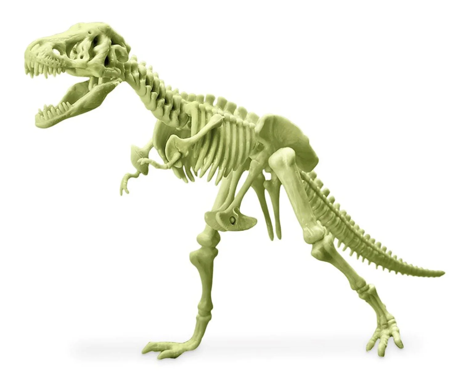 Set de creatie 4M Scheletul T-Rex foto