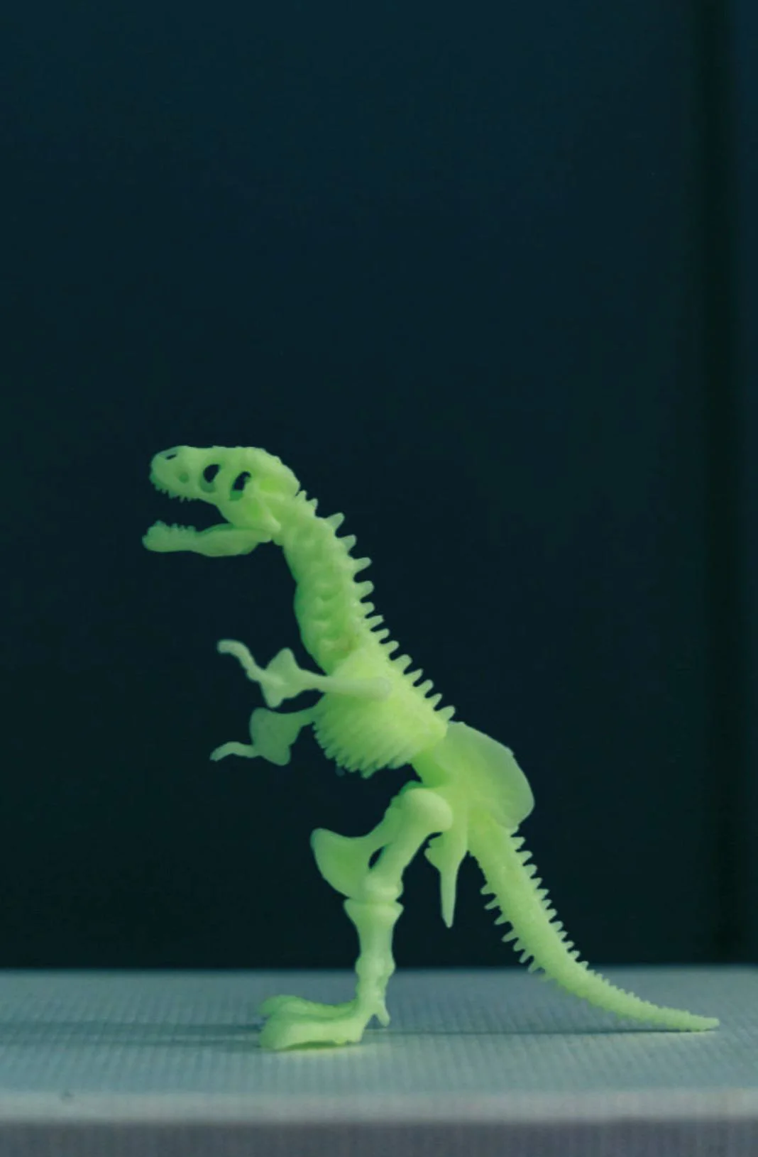 Set de creatie 4M Scheletul T-Rex foto