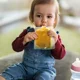 Станция для приготовления детского пюре Momcozy Squeeze Station foto