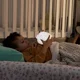 Портативный силиконовый ночник BBluv Hog foto