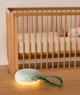 Портативная колонка ergoPouch Drift Away White Noise Sage foto