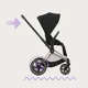 Cadru pentru carucior Cybex e-Priam RBA Chrome Black Chrome foto