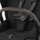 Carucior Cybex Priam JS RBAS Wings Black foto