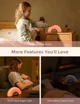 Ночник с успокаивающими звуками Momcozy Rainbow Grey foto