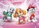 Пазл Dodo Paw Patrol Everest, Skye и Marshall 60 эл. foto