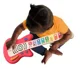 Chitara Hape Baby Einstein Impreuna in melodia chitarei foto