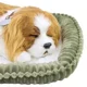 Интерактивная игрушка Perfect Petzzz «Кокер-Cпаниель» foto