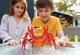 Игрушка для детей 4M Гибридный робот-краб foto