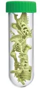 Set de creatie 4M Scheletul T-Rex foto