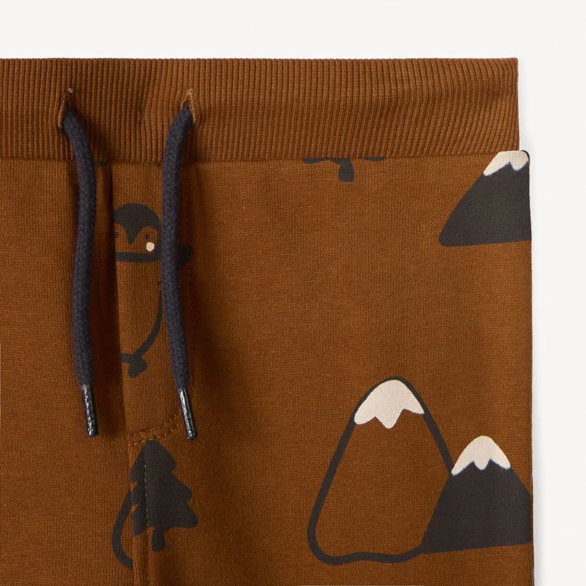 Orchestra 2 Seturi a cate 2 piese Brown - hanorac si pantaloni din fleece foto