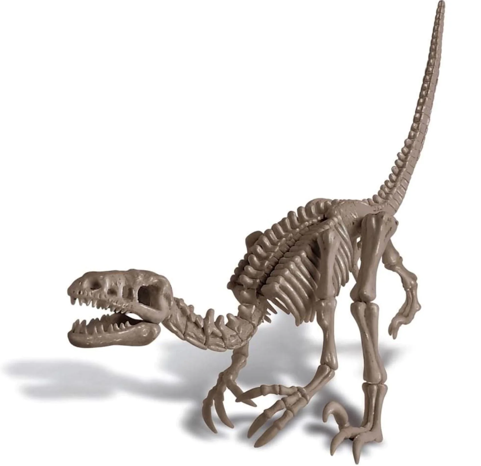 Игровой набор 4M Раскопки динозавров, Velociraptor foto
