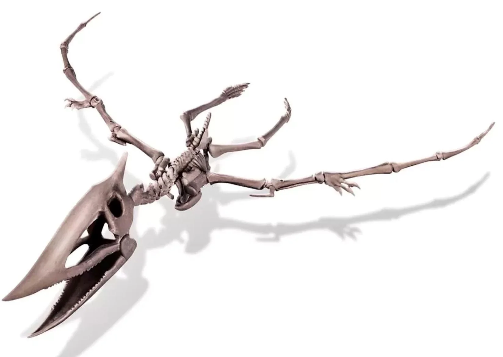Игровой набор 4M Раскопки динозавров, Pteranodon foto