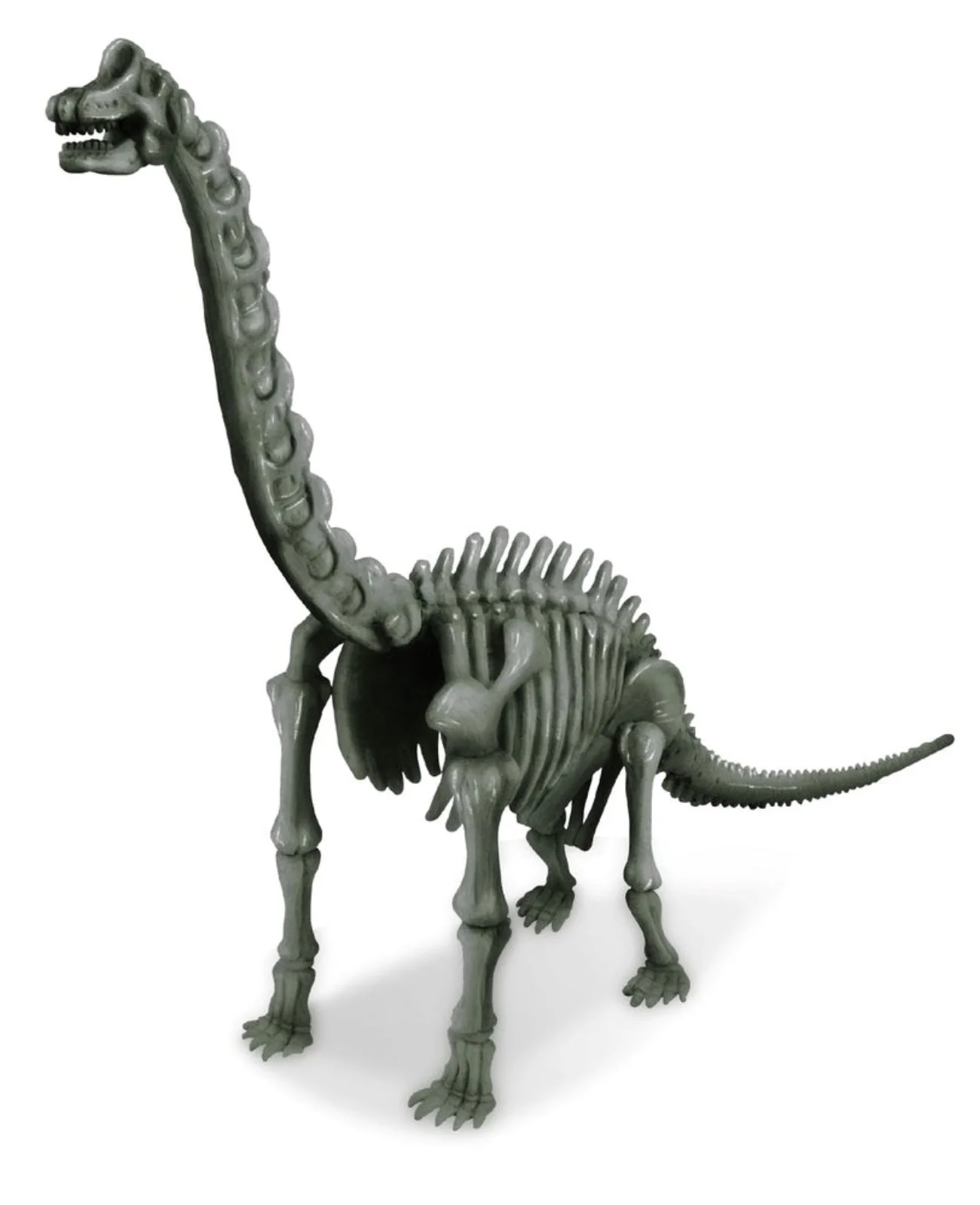 Игровой набор 4M Раскопки динозавров, Brachiosaurus foto
