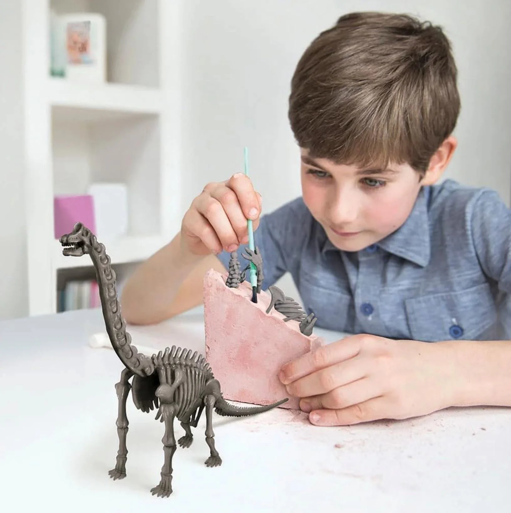 Игровой набор 4M Раскопки динозавров, Brachiosaurus foto