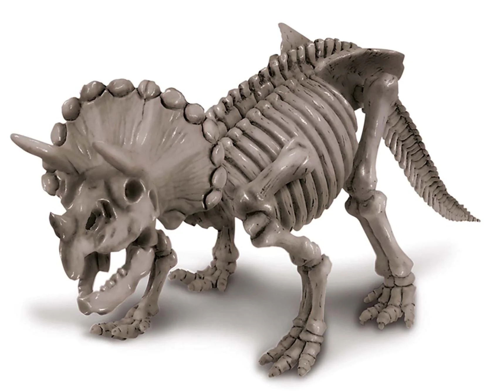 Игровой набор 4M Раскопки динозавров, Triceratops foto