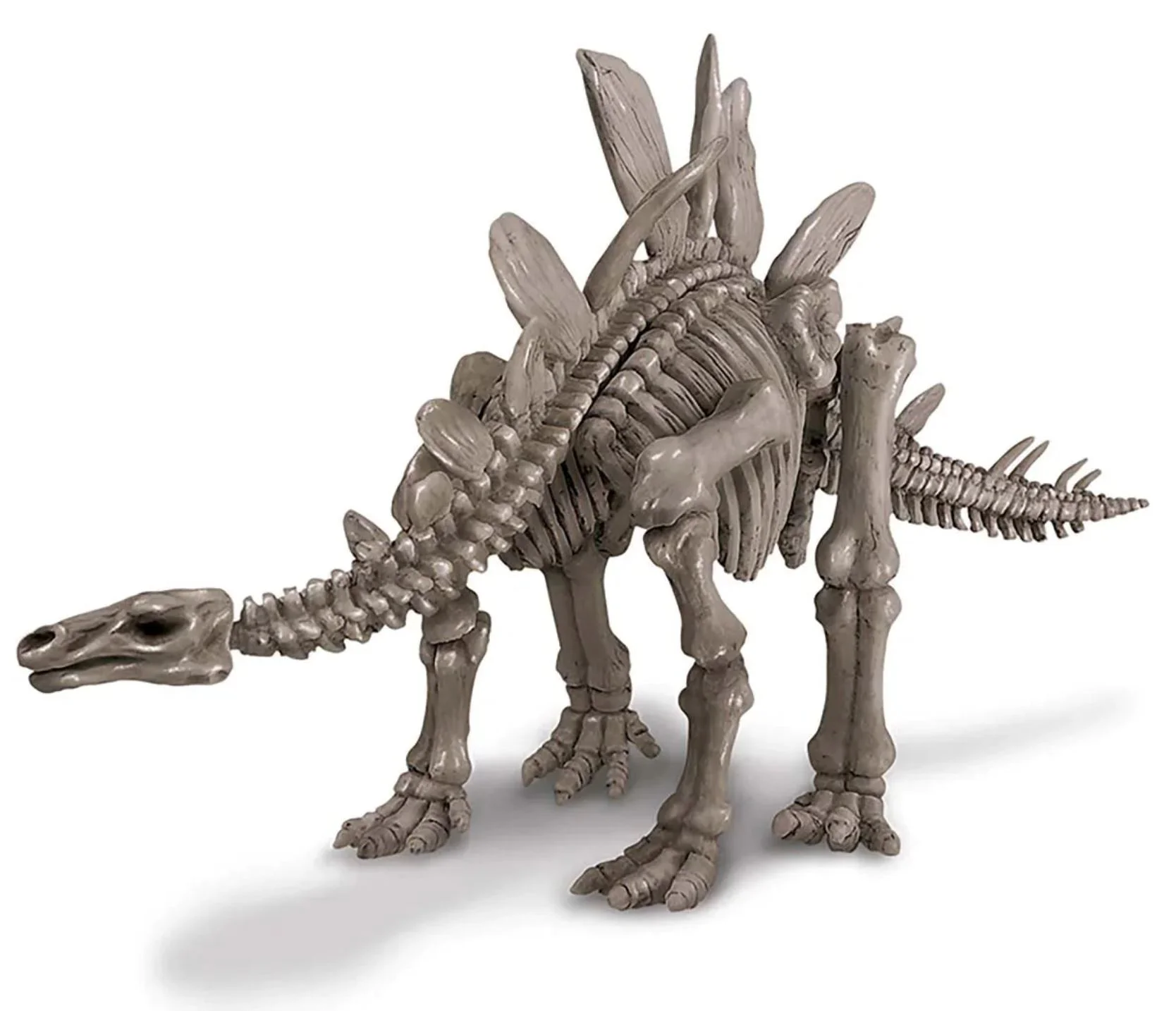 Игровой набор 4M Раскопки динозавров, Stegosaurus foto