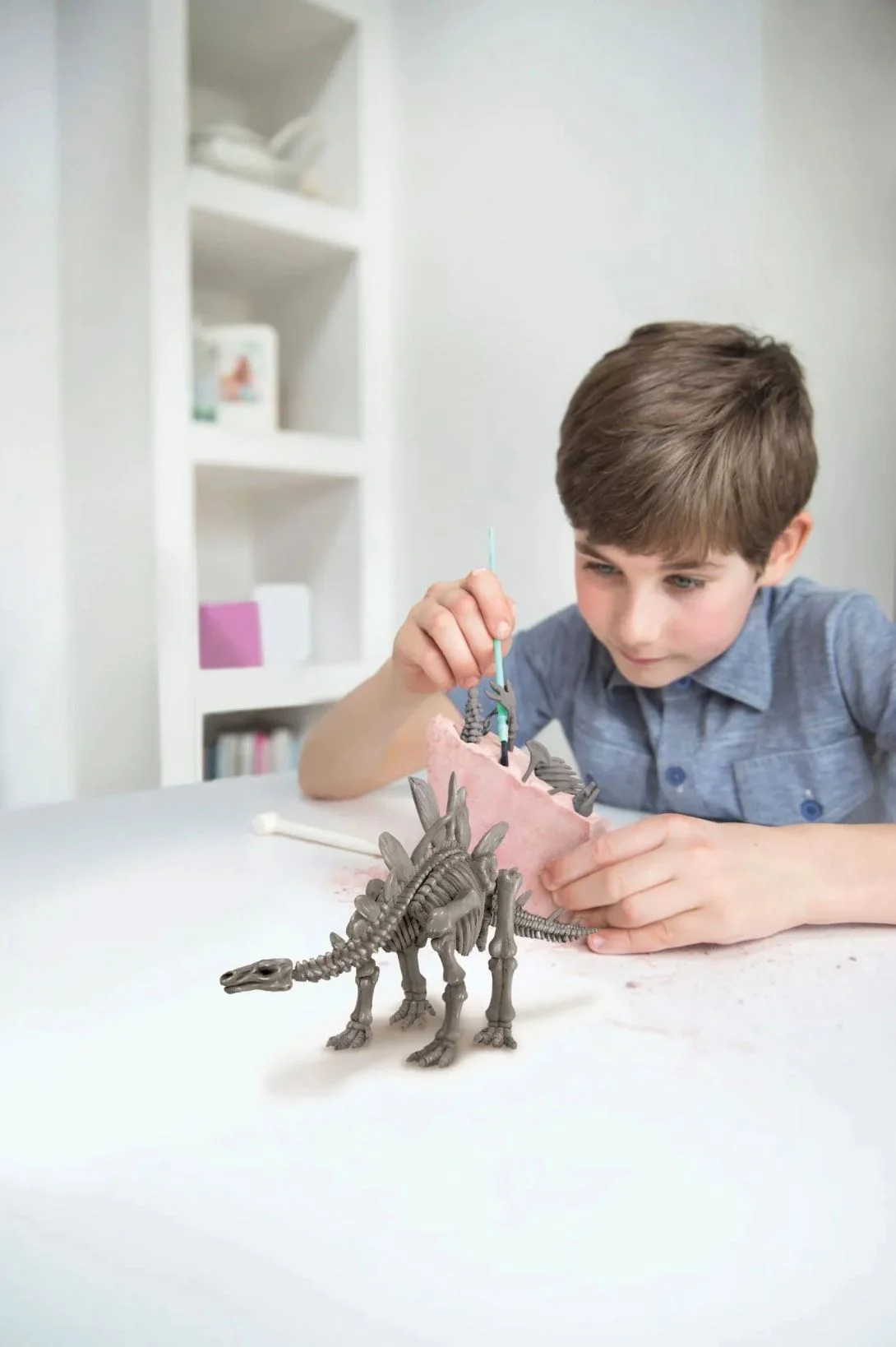 Игровой набор 4M Раскопки динозавров, Stegosaurus foto