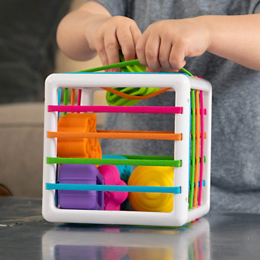 Cub-sorter Fat Brain Inny Bin foto