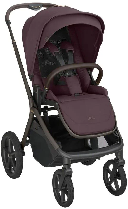 Carucior 2 in 1 KikkaBoo Goya Platinum Merlot foto