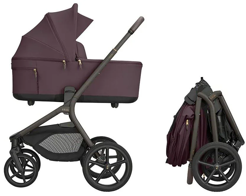 Carucior 2 in 1 KikkaBoo Goya Platinum Merlot foto