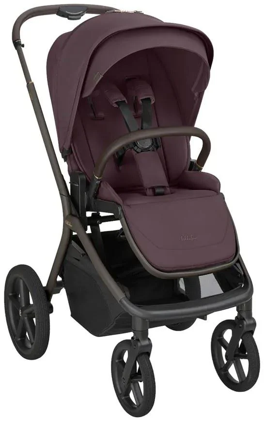 Carucior 2 in 1 KikkaBoo Goya Platinum Merlot foto