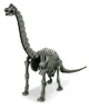 Игровой набор 4M Раскопки динозавров, Brachiosaurus foto