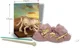 Игровой набор 4M Раскопки динозавров, Triceratops foto