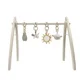 Arca de joaca pliabila din lemn Premaman Babygym foto