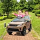 Masinuta electrica Kids car LAND ROVER DISCOVERY, 12V4.5AH, Auriu foto