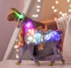 Set de joaca Spin Master Academia unicornilor, Unicornul Wildstar foto