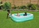 Piscina gonflabila Bestway pentru familie, 450 L, 201x150x51 cm foto