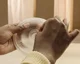 Pompa de san electrica dubla hands-free Philips AVENT foto