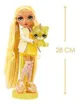 Set de joaca Rainbow High Sunny Madison, 28 cm foto