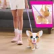 Jucarie interactiva de plus FurReal Catelus Corgi cu lesa, 23 cm foto