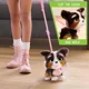 Jucarie interactiva de plus FurReal Catelus Bernedoodle cu lesa, 23 cm foto