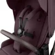 Carucior 2 in 1 KikkaBoo Goya Platinum Merlot foto