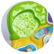 Образовательная игрушка Winfun Пазл с животными, со звуками и огнями foto