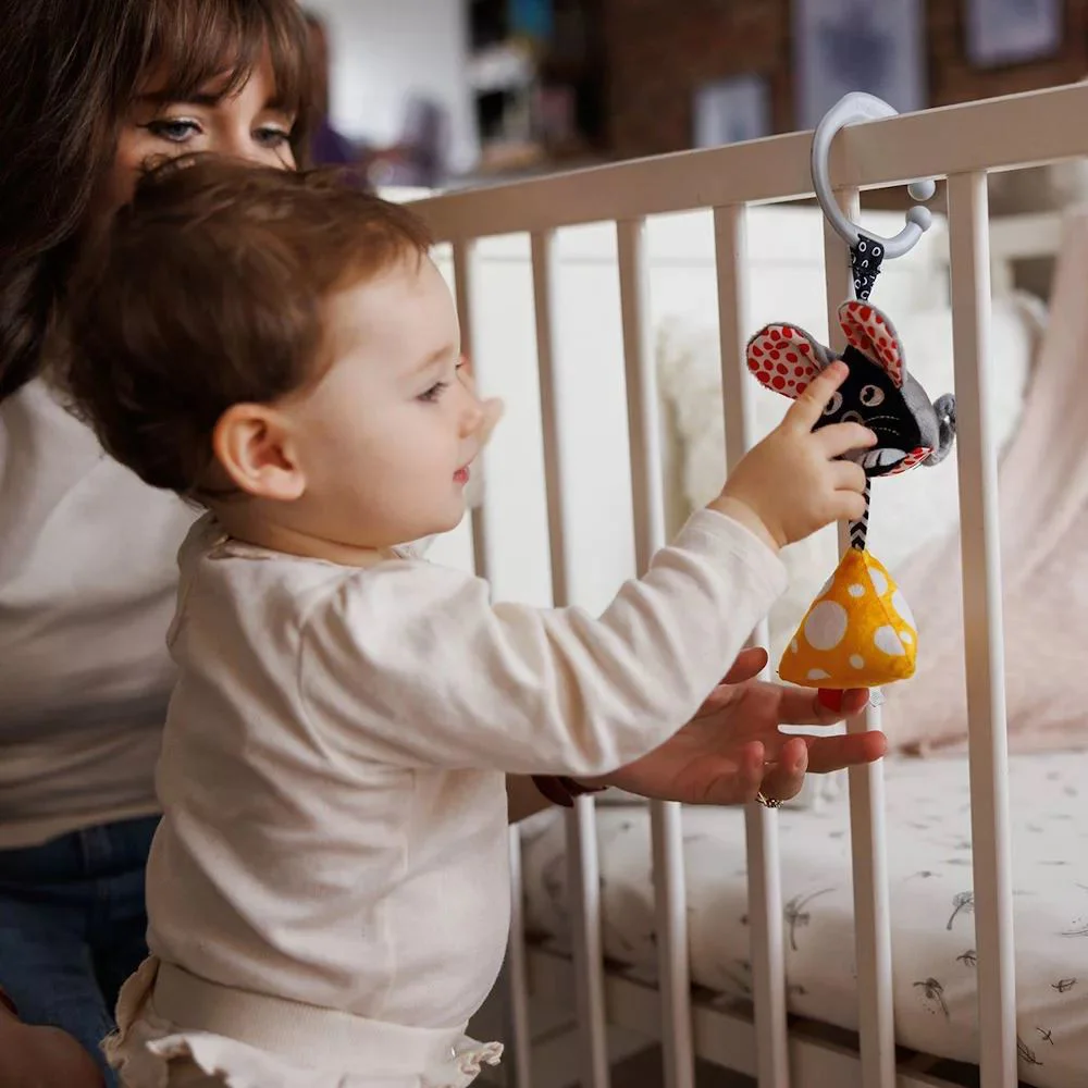 Сенсорная подвесная игрушка BabyOno Mouse foto