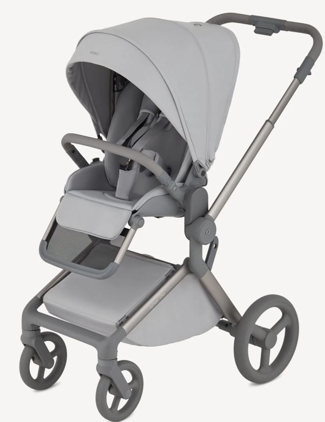 Carucior 2 in 1 Anex Flo Frossy foto